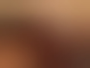 27xlxwolle