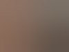 69