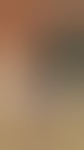 aenr