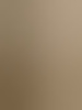 amberbruid