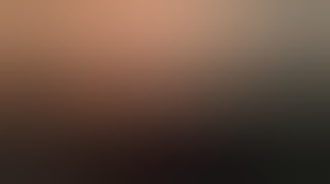 beginstel045