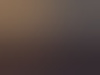 bi-top-050