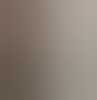 bigetint41