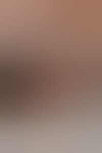 bisextvstel