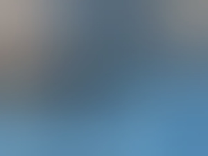 bizktfwb