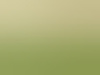 blankxl