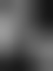 butterflys64