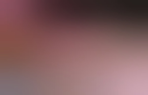 curiousguy1