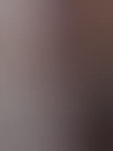 datedwingeloo