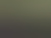 dccm