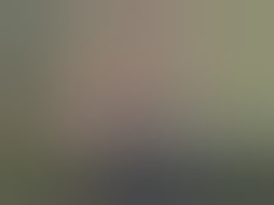 dccm