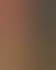 denkink49