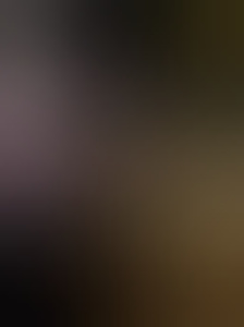 denkink49