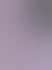 dennisheet81