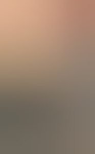 dvdhoog