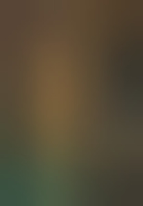 elixz89