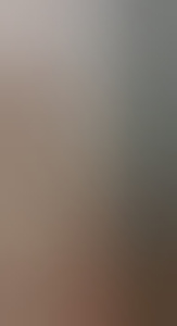 evaatje010