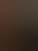 excite