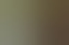 geilventjedelft