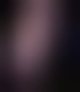 geminiblackdick