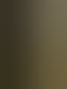 ginatv