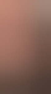 gino31