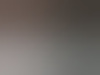 halfbloed