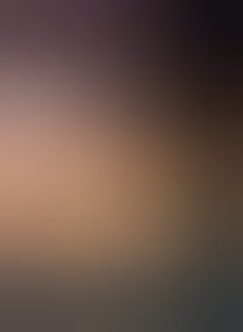 halfbloedjj020
