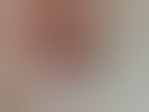 hornybiboy