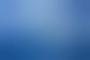 ijsbeer65