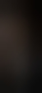 jongsteldb