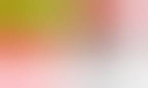 julliet
