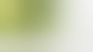 kiwi-69