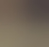 knuffelbeertje