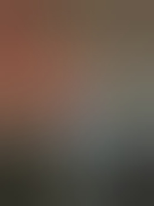 lekkerexlpaal