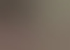 lekkerstelletjenb