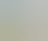 levielias
