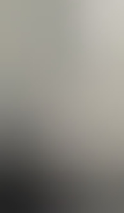 lief83