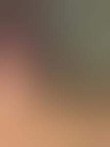 likgraag69