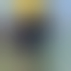 lisa-20