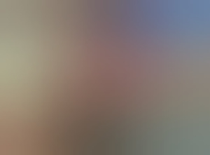 max-canni