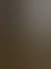 misteroral