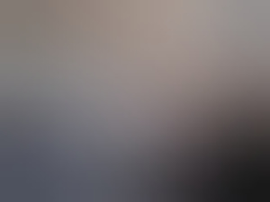 misterp