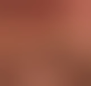 mrfensusan