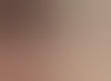 mtricht