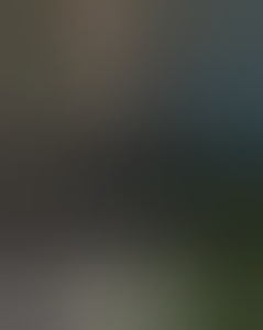 nini77