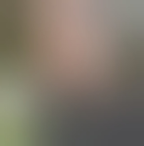 openmindeddb