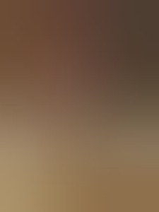 panda-panda