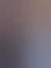 patrickxl