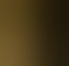 rik11